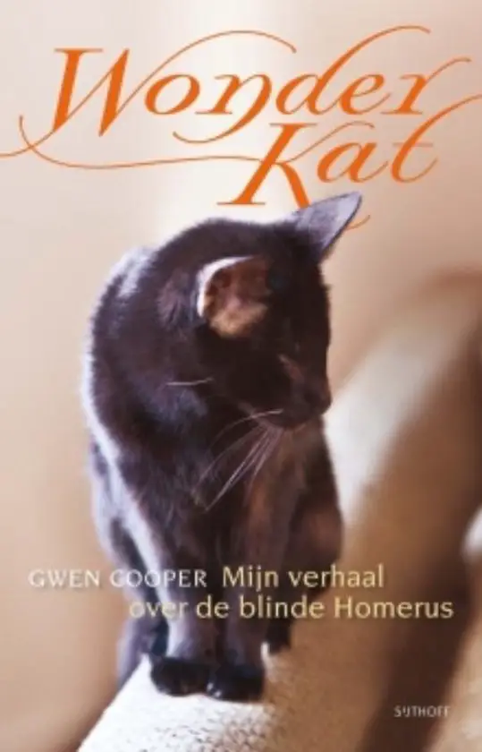 wonderkat