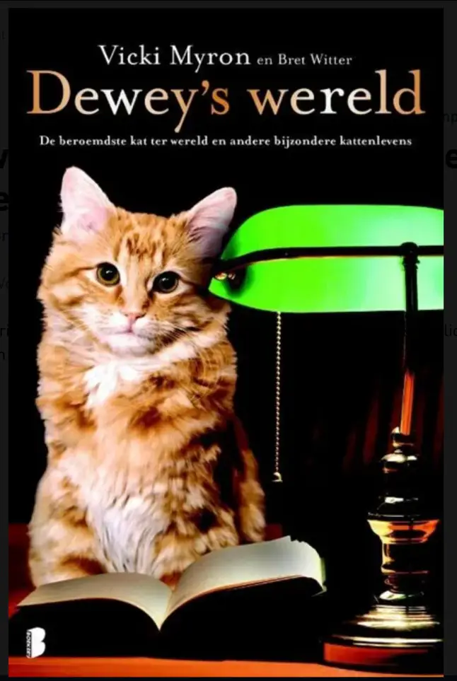dewey bibliotheek kat