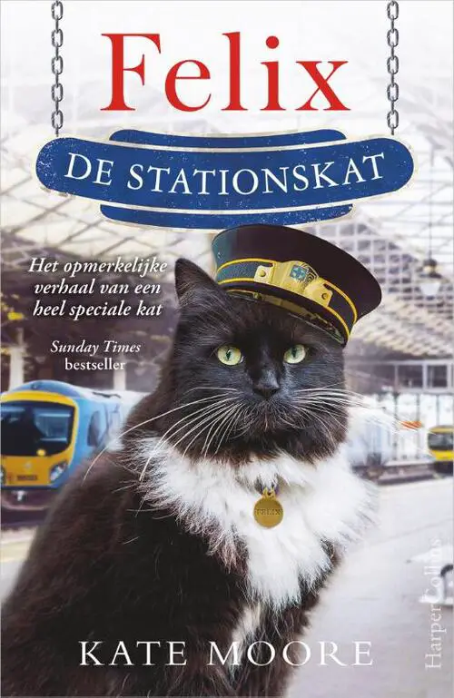 felix de stationskat